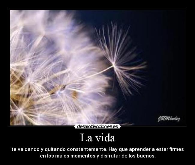 La vida - te va dando y quitando constantemente. Hay que aprender a estar firmes
en los malos momentos y disfrutar de los buenos.