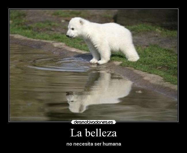 La belleza - 