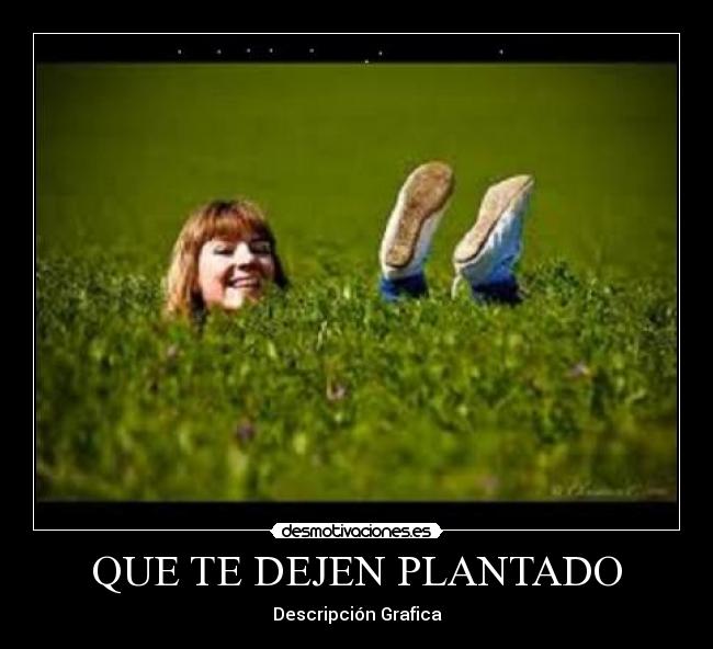 QUE TE DEJEN PLANTADO - 