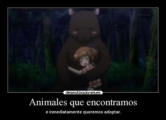 Animales que encontramos - 