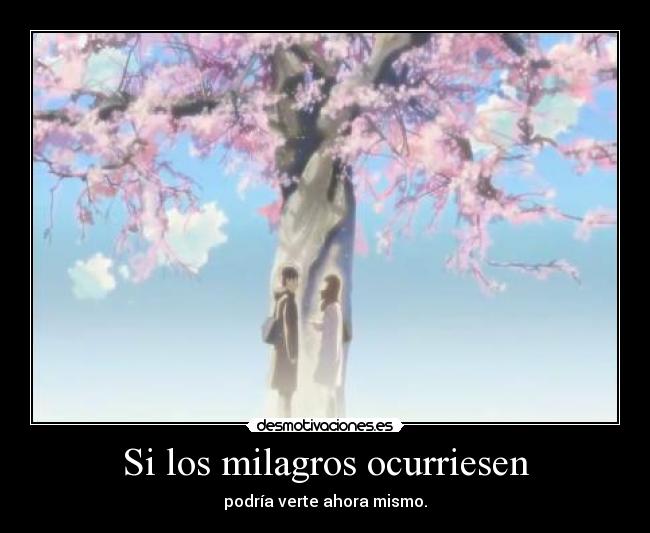 Si los milagros ocurriesen - 