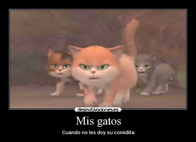Mis gatos - Cuando no les doy su comidita