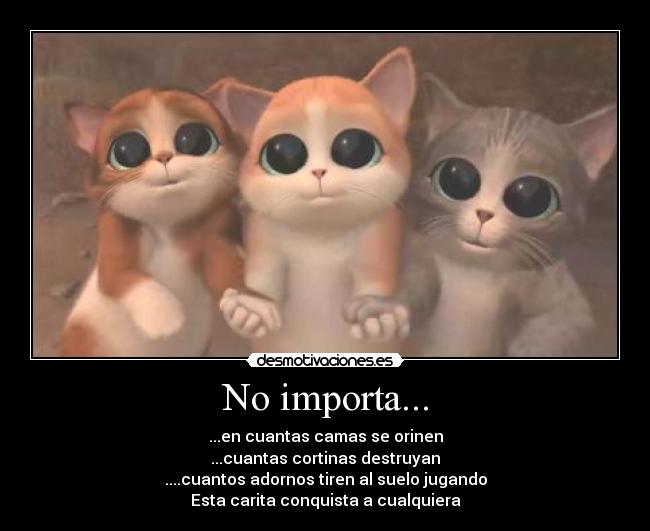 No importa... - ...en cuantas camas se orinen
...cuantas cortinas destruyan
....cuantos adornos tiren al suelo jugando
Esta carita conquista a cualquiera