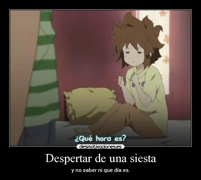 Despertar de una siesta - y no saber ni que día es.