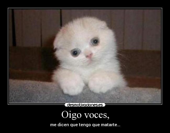 Oigo voces, - me dicen que tengo que matarte...