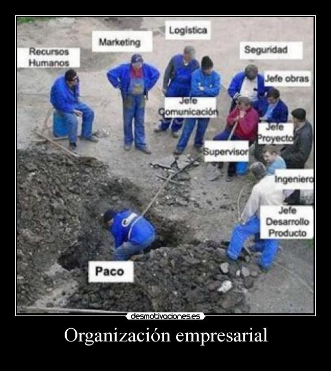 Organización empresarial -
