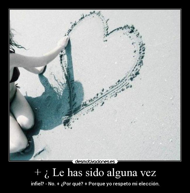 carteles miau desmotivaciones