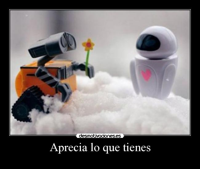 Aprecia lo que tienes -