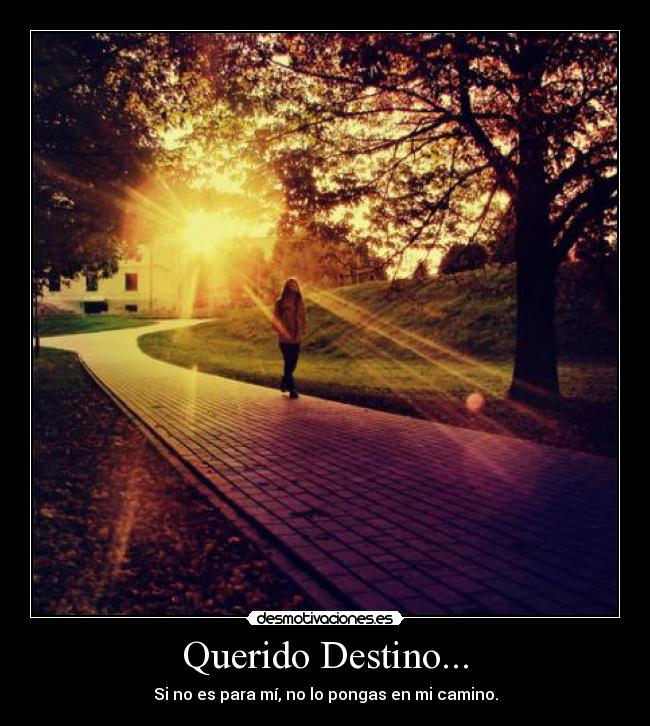 Querido Destino... - 