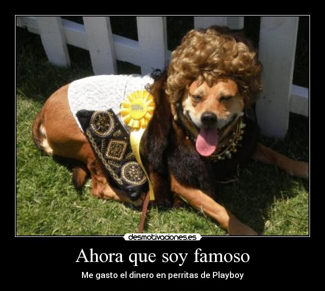 Ahora que soy famoso -