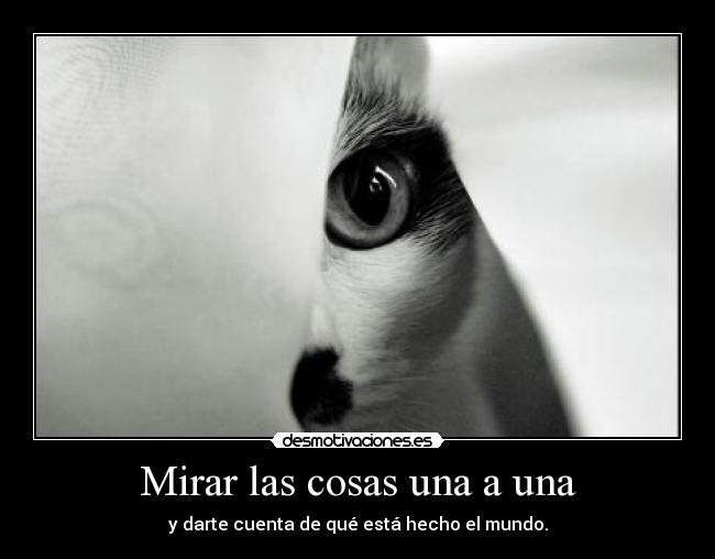 carteles mierda desmotivaciones