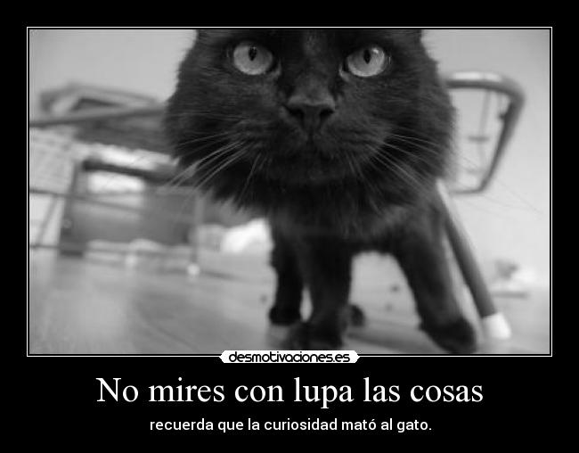 No mires con lupa las cosas - 