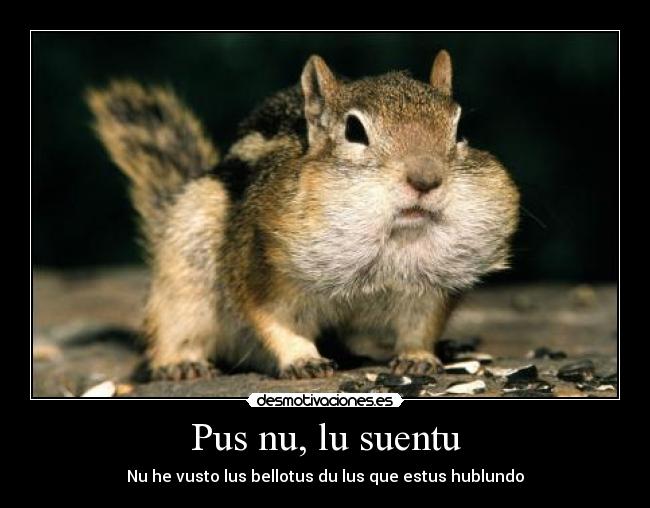 carteles las ardillas molan desmotivaciones