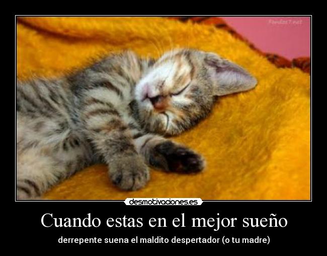 Cuando estas en el mejor sueño - derrepente suena el maldito despertador (o tu madre)