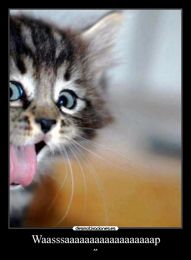 Waasssaaaaaaaaaaaaaaaaaap -