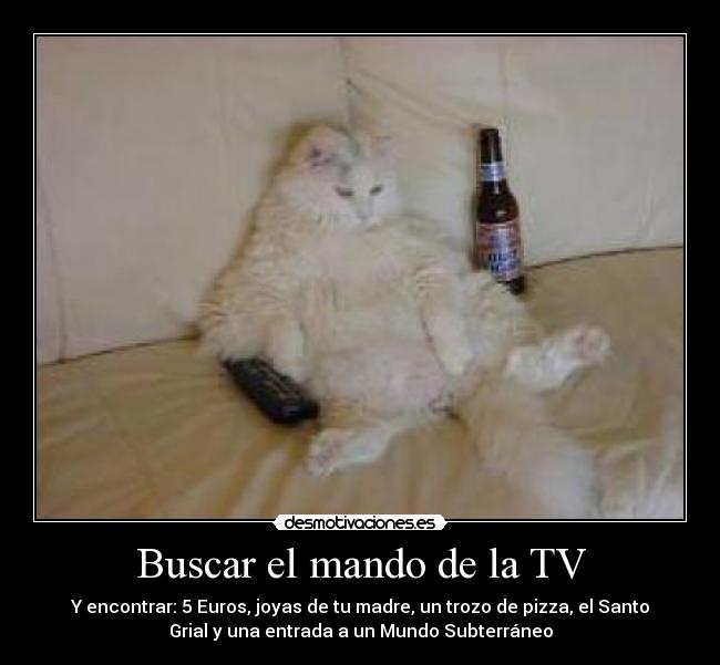 Buscar el mando de la TV - 