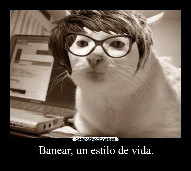 carteles vida slipkdemon intruders clandesplazado clanhorde catkillers walt ban desmotivaciones