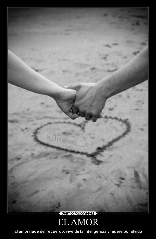 EL AMOR -
