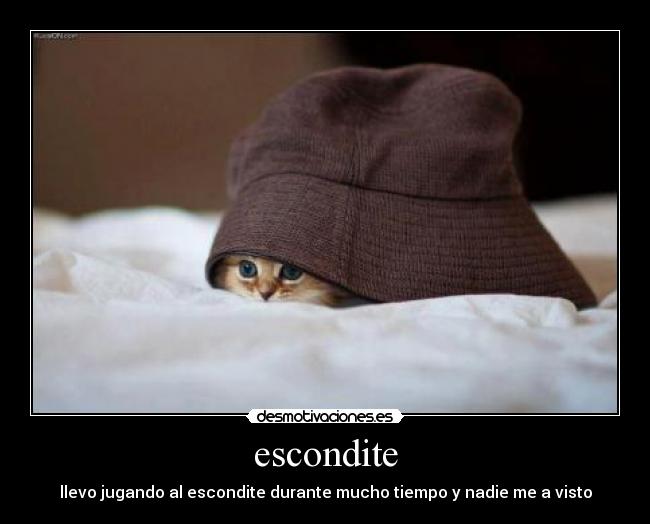escondite - llevo jugando al escondite durante mucho tiempo y nadie me a visto