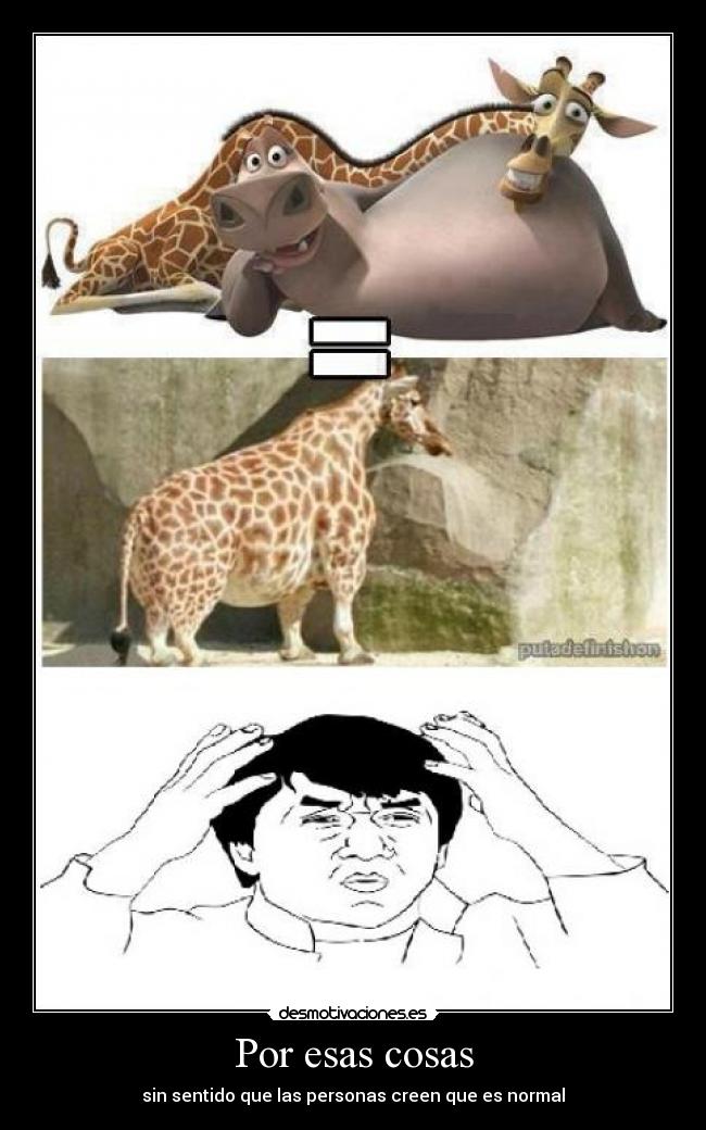 Por esas cosas - sin sentido que las personas creen que es normal