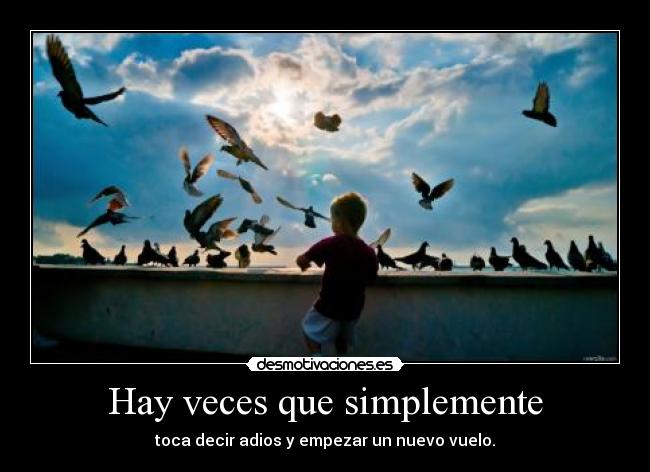 Hay veces que simplemente - 