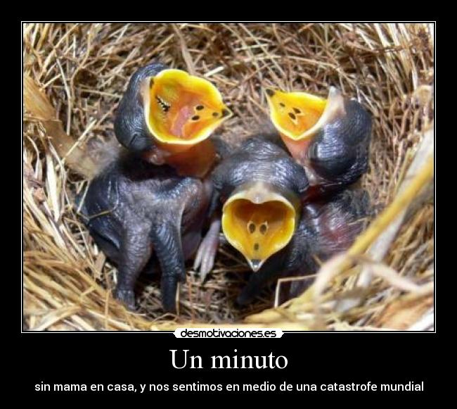 Un minuto - 
