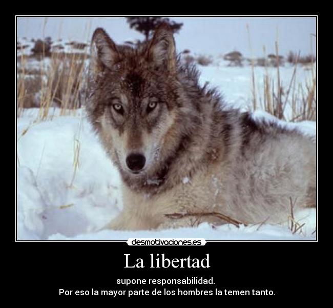 La libertad -