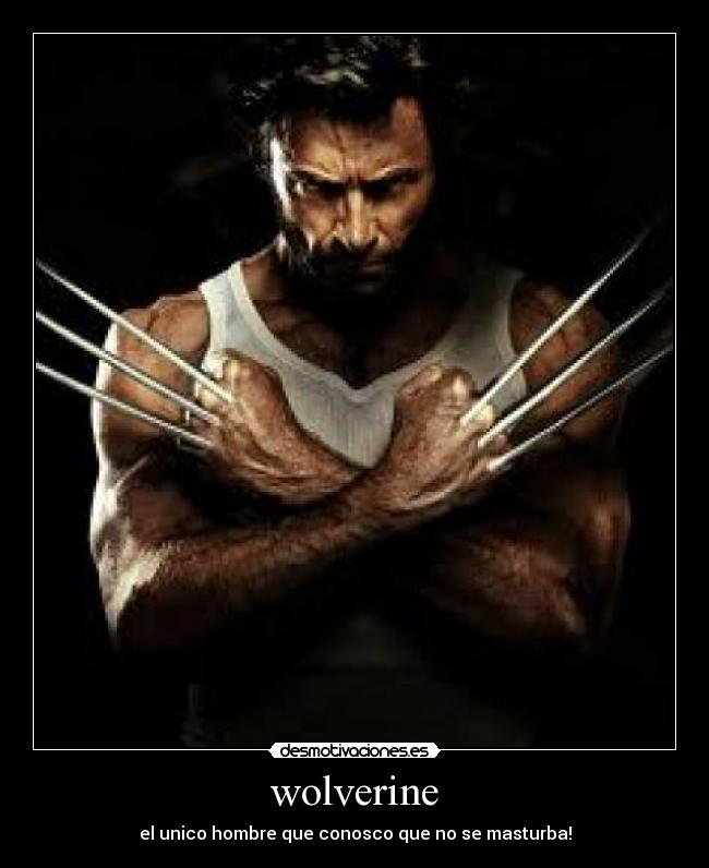 wolverine -