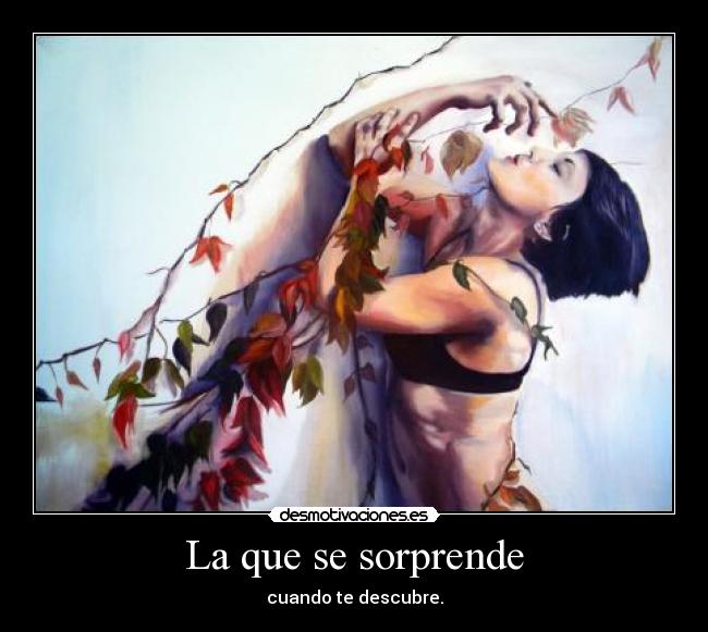 carteles amm lamento shananigans desmotivaciones