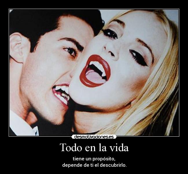 Todo en la vida - 