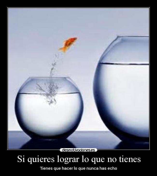 Si quieres lograr lo que no tienes -