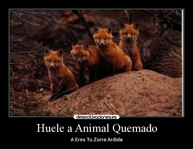 Huele a Animal Quemado -