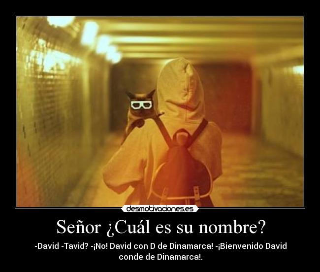 Señor ¿Cuál es su nombre? - -David -Tavid? -¡No! David con D de Dinamarca! -¡Bienvenido David
conde de Dinamarca!.