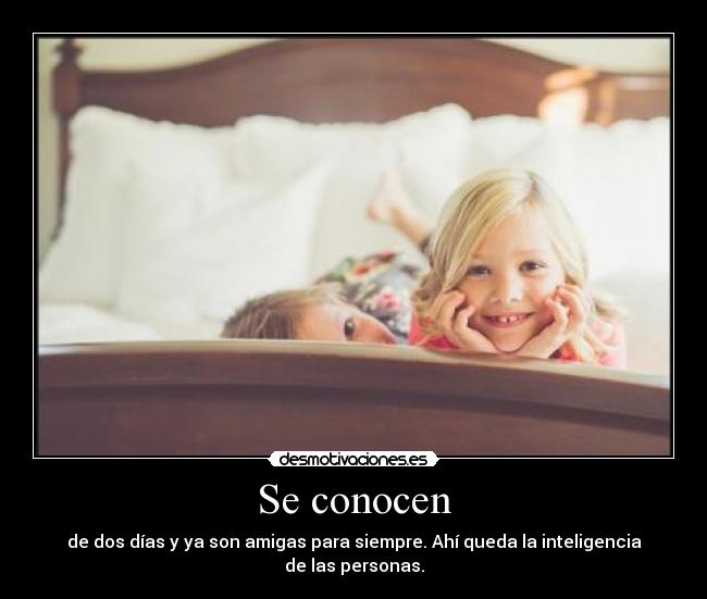 carteles sabes desmotivaciones