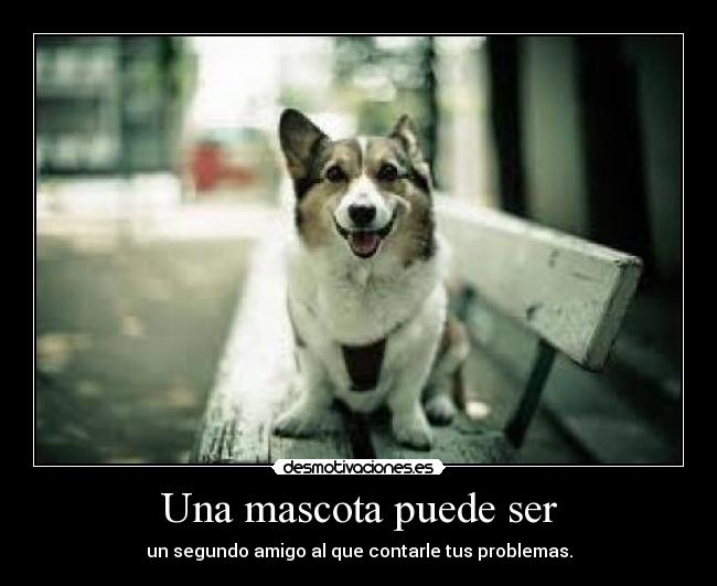 Una mascota puede ser - un segundo amigo al que contarle tus problemas.