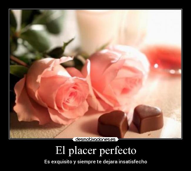 El placer perfecto - Es exquisito y siempre te dejara insatisfecho