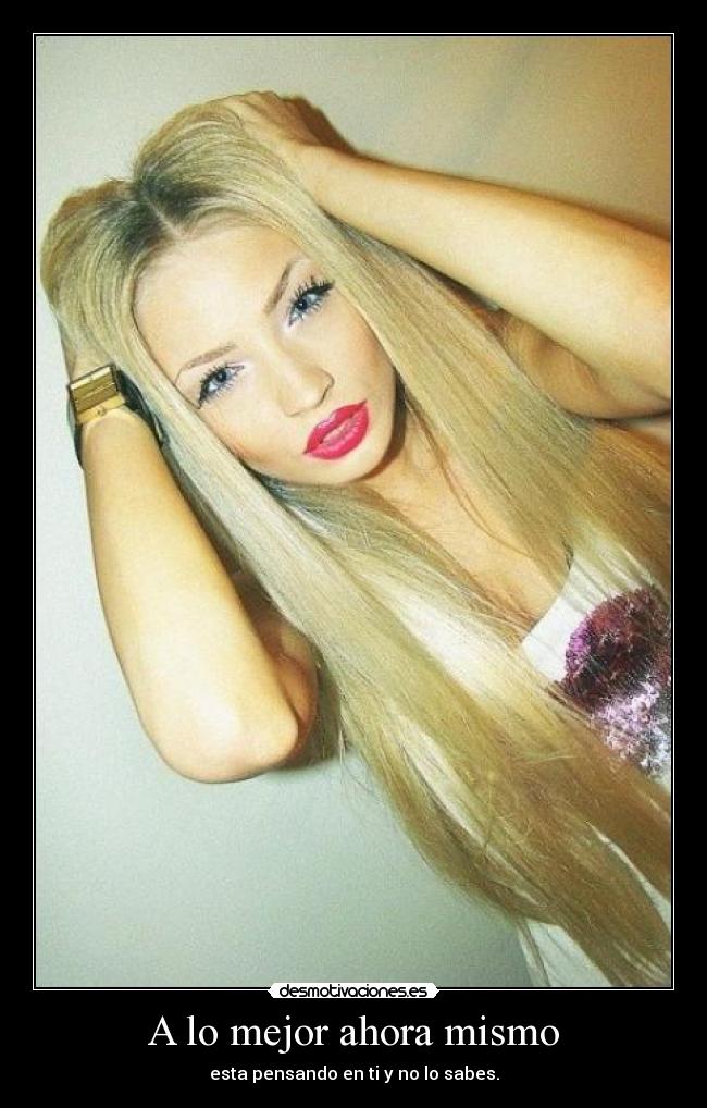 carteles miau desmotivaciones