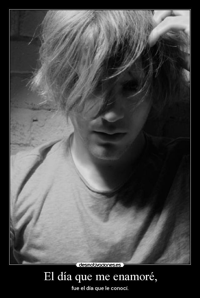 carteles dia que enamore desmotivaciones