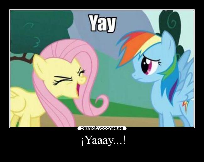 ¡Yaaay...! - 
