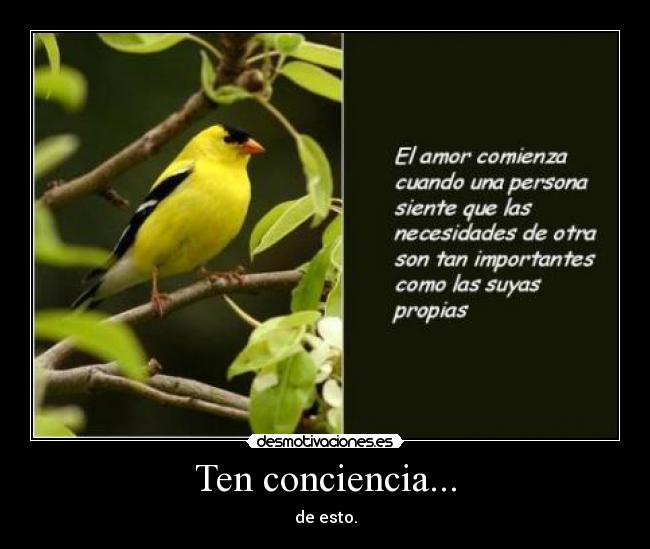 Ten conciencia... - 