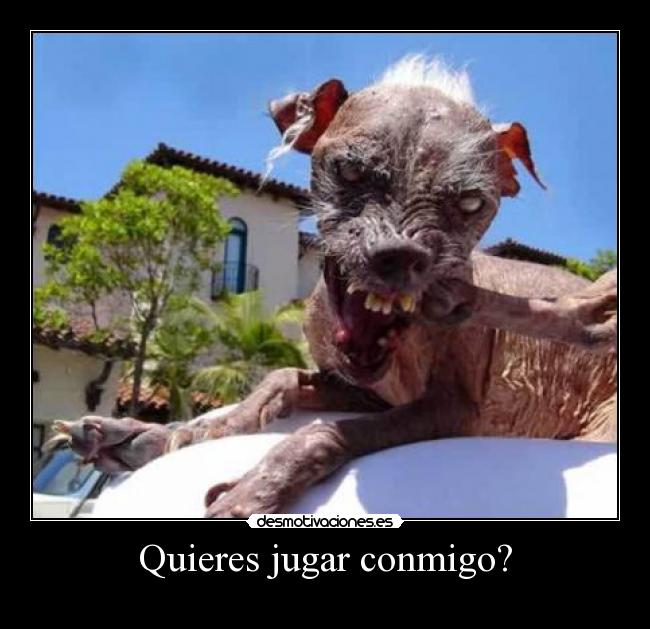 Quieres jugar conmigo? -