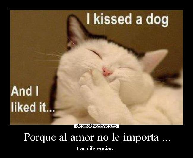 Porque al amor no le importa ... - Las diferencias ..