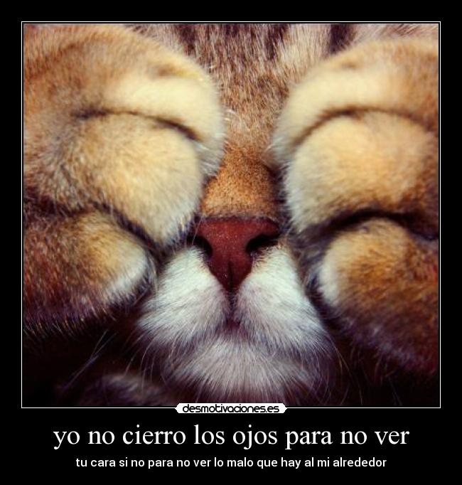 yo no cierro los ojos para no ver -