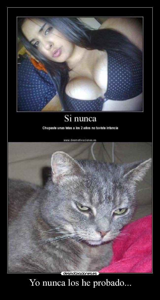 carteles sigue gatosque banea perdon que denuncia carteles tuenti desmotivaciones