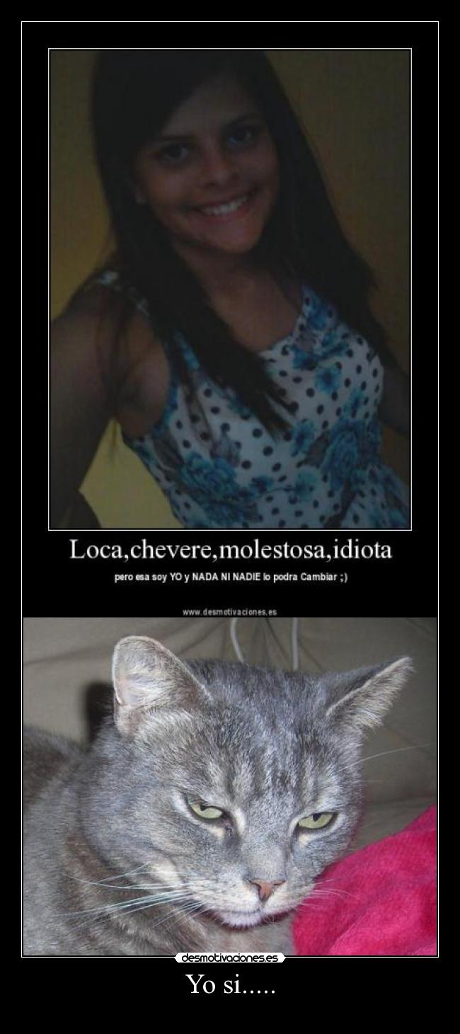 carteles gatosdenuncia este cartel porfa que tuenti desmotivaciones