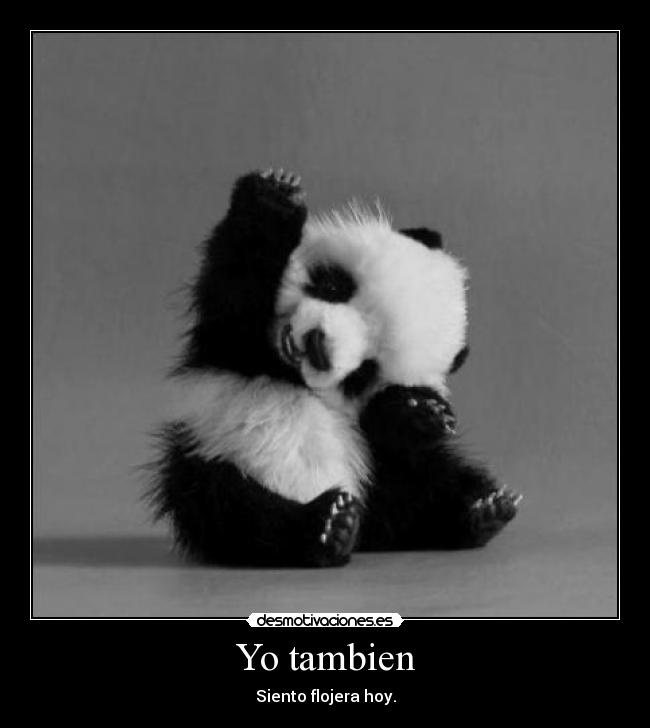 Yo tambien -