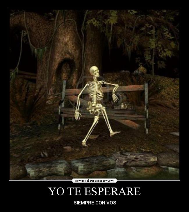 YO TE ESPERARE - 