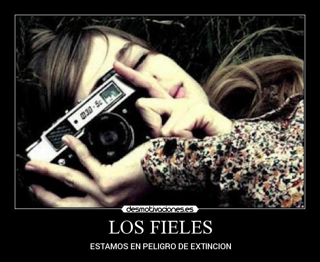LOS FIELES - 