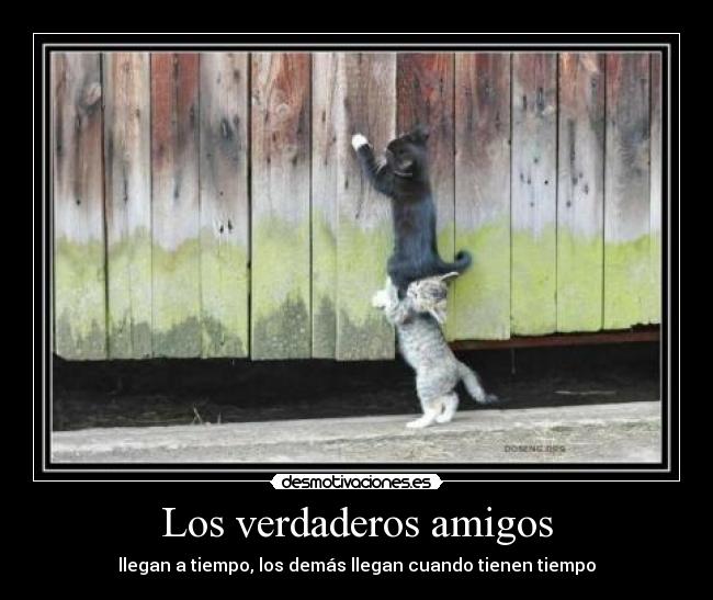Los verdaderos amigos - 