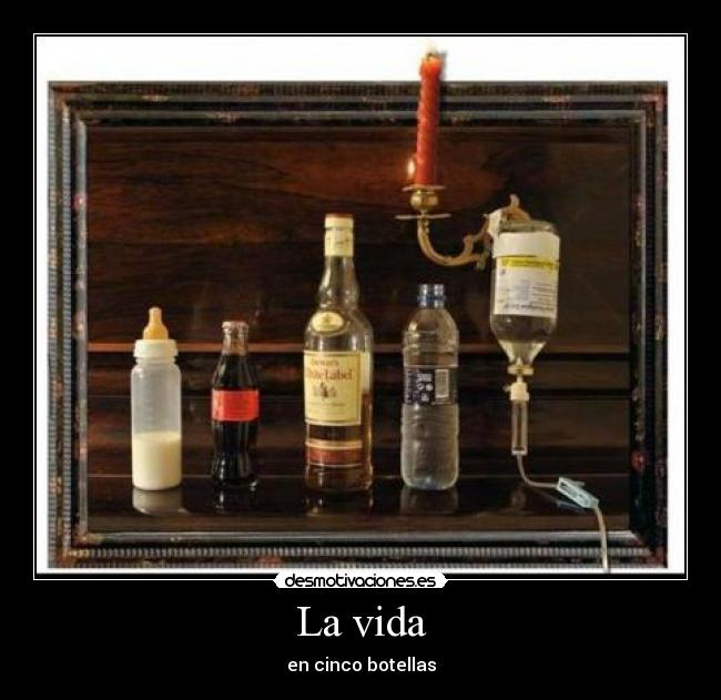 La vida - en cinco botellas